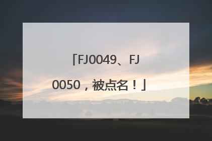 FJ0049、FJ0050，被点名！