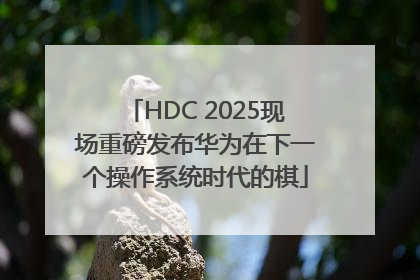 HDC 2025现场重磅发布华为在下一个操作系统时代的棋